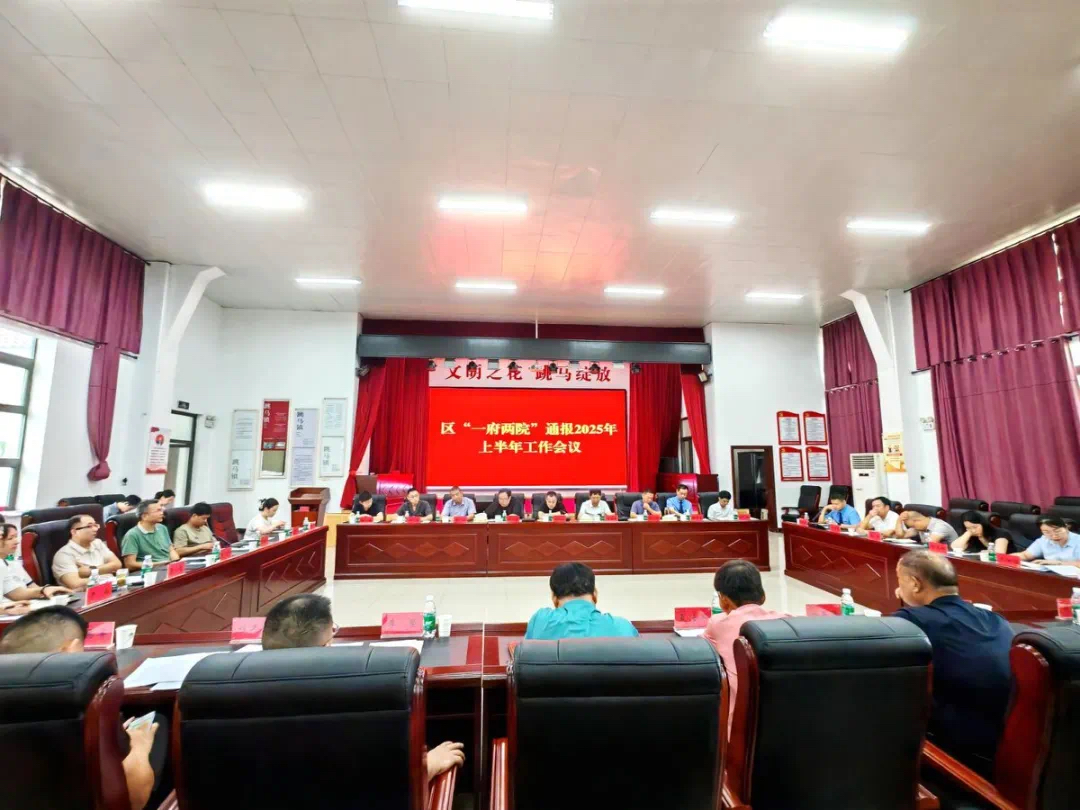 政民同心促振兴，共绘雨花新图景！2025年上半年雨花区“一府两院”工作通报会在跳马镇举行