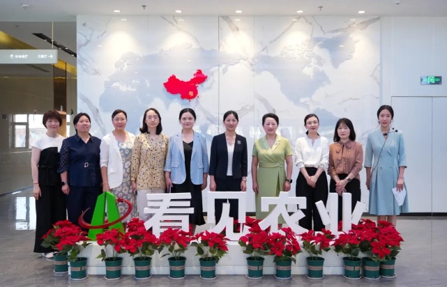 省妇联党组成员、副主席陈艳英一行调研雨花区“三新”妇联组织建设工作